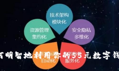 如何明智地利用你的55元數(shù)字錢包？