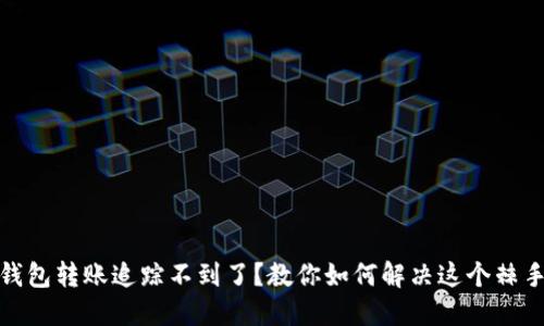 數(shù)字錢包轉(zhuǎn)賬追蹤不到了？教你如何解決這個(gè)棘手問題