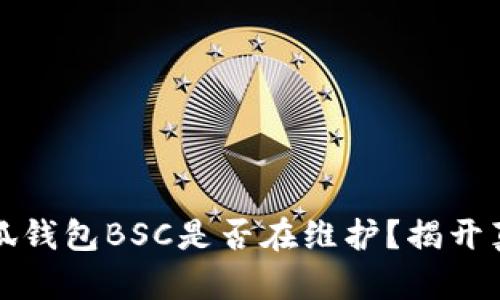 小狐錢包BSC是否在維護(hù)？揭開真相