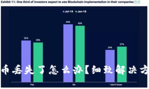 小狐錢包幣丟失了怎么辦？細致解決方案大揭秘