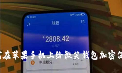如何在蘋果手機上給微笑錢包加密保護？