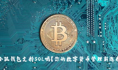 小狐錢(qián)包支持SOL嗎？你的數(shù)字貨幣管理新選擇