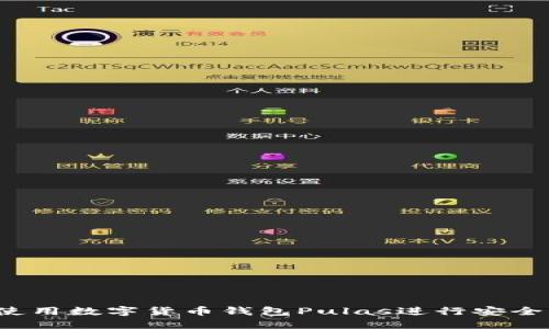 如何使用數(shù)字貨幣錢包Pulas進(jìn)行安全交易？