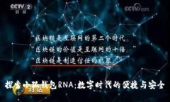 探索小狐錢包RNA：數(shù)字時