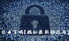 小狐錢(qián)包出幣了嗎？揭秘