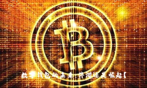 數(shù)字錢包的未來：停滯還是崛起？