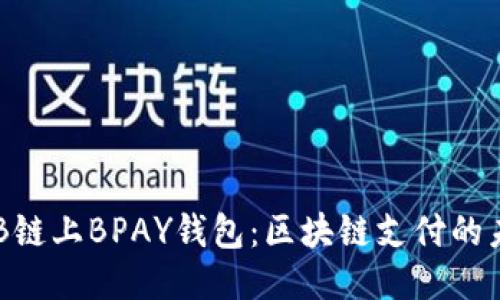 探知BNB鏈上BPAY錢包：區(qū)塊鏈支付的未來之路