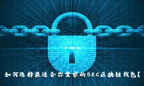 如何選擇最適合你需求的BEC區(qū)塊鏈錢包？