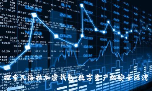 探索瓦洛拉加密錢包：數(shù)字資產(chǎn)的安全港灣