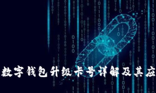 : 數(shù)字錢包升級卡號詳解及其應(yīng)用