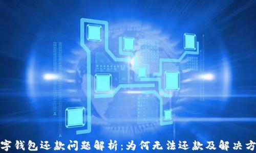 
數(shù)字錢(qián)包還款問(wèn)題解析：為何無(wú)法還款及解決方案