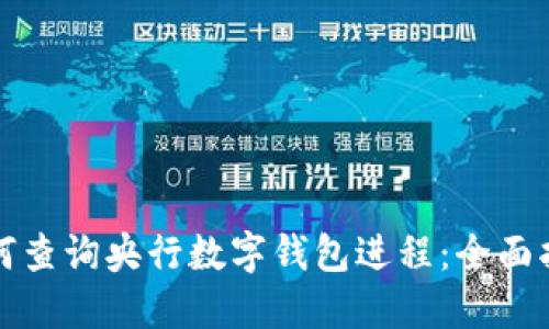 如何查詢央行數(shù)字錢包進(jìn)程：全面指南